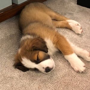 Meet your Posher, Whitney